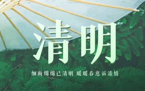 春风拂煦 | 清明节